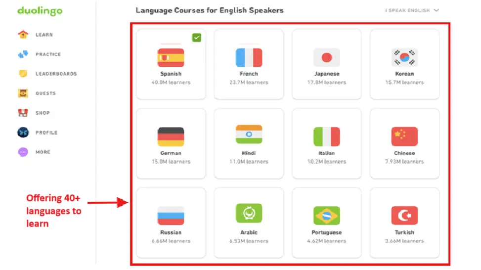 duolingo - best ai tools for students